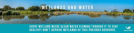 Rand Water Linkedin