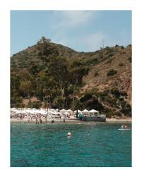 Seth Willard (@sethwillard89) • Threads, Say more