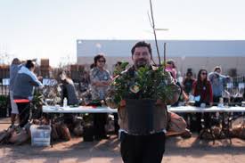 The los angeles' department of water and power's city plants program wants to help you transform your house, neighborhood, or business with free trees! First Look 300 Free Fruit Trees Planted For San Fernando Treepeople