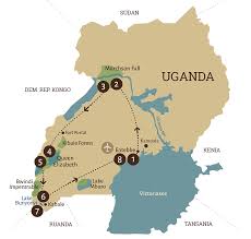 We did not find results for: Die Artenvielfalt Afrikas Erleben 8 Tage Uganda Safari The Big Five