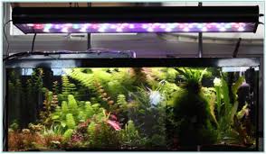 Make Your Own Led Aquarium Lighting The Mustard Ceiling Blog