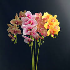 Artificial plants, silk wedding bouquets, artificial flower arrangements & fake plants. Latex Real Touch Flowers Wholesale Australia New Featured Latex Real Touch Flowers Wholesale At Best Prices Dhgate Australia