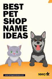 Best Pet Shop Name Ideas Pet Store Name Generator 2020 Pet Store Cute Business Names Pets