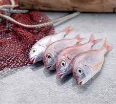 Breca Pequena Fresca De Pescaderia Online Del Barco A La Mesa