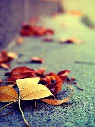 Pin By Cezar On I Love Fall Fall Wallpaper Iphone Wallpaper Nature Wallpaper