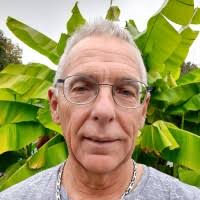 40+ "Dinghs" profiles