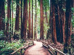 Where are mountainous areas situated? America S Most Beautiful Natural Landscapes National Parks Travelchannel Com Travel Channel