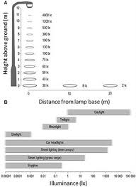 We don't share or showcase them either. Frontiers Exposure To Artificial Light At Night And The Consequences For Flora Fauna And Ecosystems Neuroscience