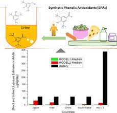 Quantitative Identification Of And Exposure To Synthetic Phenolic Antioxidants Including Butylated Hydroxytoluene In Urine Sciencedirect