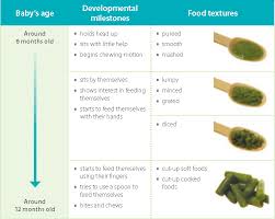 When you start introducing children to the world of solid foods, you are helping solid foods may be introduced in any order. Starting Solid Foods 6 12 Months Healthy Parents Healthy Children