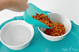 Secondly, create a 'moat' around the food and water bowls. How To Keep Ants Out Of Pet Food With No Chemicals Mom 4 Real