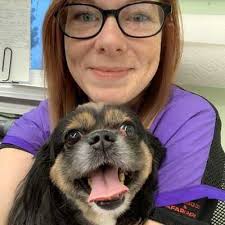 Dog Grooming By Felicia