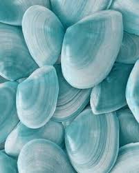 We did not find results for: 220 Blue Aesthetic Ideas In 2021 Blue Aesthetic Blue Everything Is Blue