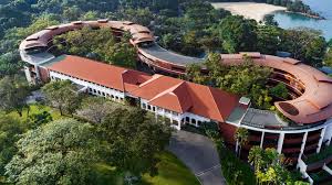 نتیجه جستجوی لغت [capella] در گوگل