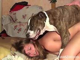 Animal Porn Videos - XXX Zoophilia Clips and Bestiality Scenes