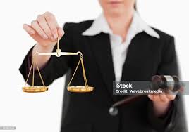 Image result for Justicia engleriana