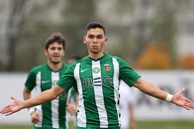 Rio ave futebol clube, commonly known as rio ave, is a portuguese professional football club based in vila do conde, northern portugal, which competes in the liga portugal 2. Rio Ave Futebol Clube