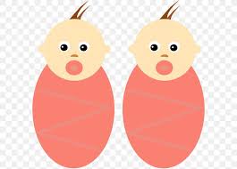 Twin Dizigotiniai Dvyniai Clip Art Png 600x587px Twin Animation Boy Carnivoran Cartoon Download Free Did you know that twins can be celebrities too? twin dizigotiniai dvyniai clip art png