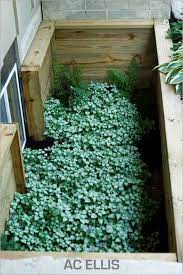 In the diy basement window covers, polycarbonate can be used as a protective sheet to the cover frame. 10 Ways To Make Your Window Wells Look Great Sunlit Spaces Diy Home Decor Holiday And More Egress Window Landscaping Window Well Design Window Wells