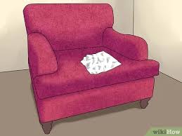 It is possible to prevent or at least slow dental disease by ensuring. How To Remove The Smell Of Cat Or Dog Urine From Upholstery