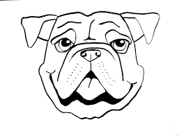 Learn how to draw a pug with his big sad eyes and cute pudgy body. Cute Dog Drawing Face Novocom Top