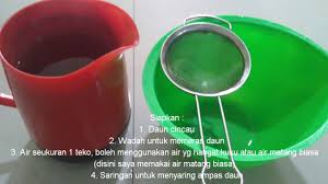 Daun cincau yang digunakan untuk membuat minuman cincau mengandung kalsium, fosfor dan mineral yang sangat berguna untuk melegakan daun cincau juga kaya dengan kandungan serat yang sangat baik untuk melancarkan pencernaan. Cara Membuat Cincau Hijau Alami Youtube