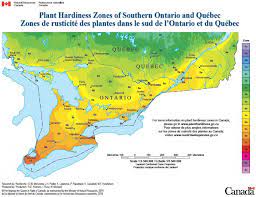 Plant hardiness zones are shown as colored sections over a map, each with a specific average minimum temperature. Ontario Plant Hardiness Zones Alton Greenhouses Garden Centre