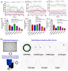Sustainable shrimp aquaculture (fao 1997). Antioxidants Free Full Text Exploiting The Freshwater Shrimp Neocaridina Denticulata As Aquatic Invertebrate Model To Evaluate Nontargeted Pesticide Induced Toxicity By Investigating Physiologic And Biochemical Parameters Html