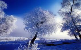Beautiful Snow Wallpapers Top Free Beautiful Snow Backgrounds Wallpaperaccess We hope you enjoy our growing collection of hd images to use as a background or home screen for your smartphone or computer. beautiful snow wallpapers top free