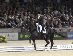 The pitch black son of his former wonder horse totilas. Totilas Sohn Total U S An Edward Gal