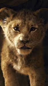 Cats ein film von tom hooper mit francesca hayward, jennifer hudson. The Lion King 2019 Simba 8k 7680x4320 Wallpaper Lion King Lion Lion King Movie