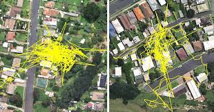 I gps tracked my cats for 24 hours. Gps Trackers Reveal Your Cat S Adventures During The Night Bored Panda
