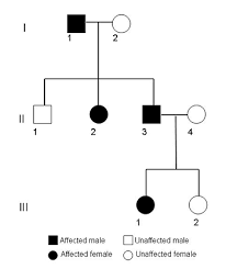Grace roys was out on a family walk when she was attacked by the venomous adder. Pedigree Analysis A Family Tree Of Traits Science Project Science Projects Science Teaching Biology