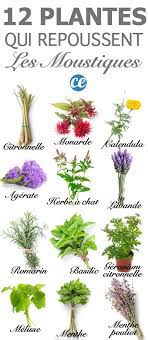 Check spelling or type a new query. Epingle Sur Jardin