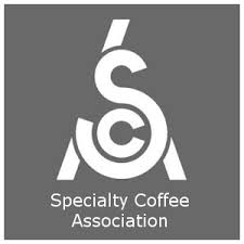 How Much Coffee Per Cup Measures And Ratios Espresso