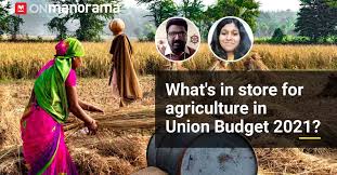 Kerala university of fisheries and ocean studies strictly has defined an eligibility criterion for the students to follows the final year students are also eligible to apply for the kmat kerala 2021, provided their results are declared before the commencement of the. Dm0ygi85msd79m