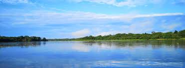 Image result for Afroqueta