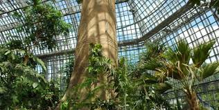 Die große gartenanlage ist im südwesten von berlin. Tropenhaus Im Botanischen Garten Orte Fur Das Erste Date Top10berlin