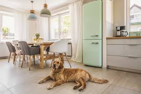 dog next to dining table and chairs