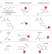 May 24, 2010 · imines are the nitrogen analogues of aldehydes and ketones, containing a c=n bond instead of a c=o bond. The Hydrazino Iso Pictet Spengler Ligation A Versatile Mild And Efficient Aldehyde Conjugation Strategy To Generate Site Specific Positionally Programmable Antibody Drug Conjugates American Pharmaceutical Review The Review Of American