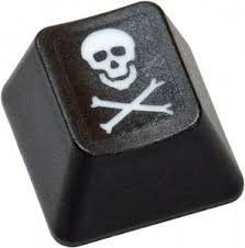Image result for Piracy