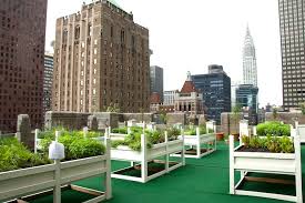 Urban gardens are incredible assets to communities. 5 Borough Building Green Roof Nyc Parks Department Inhabitat Green Design Innovation Architecture Green Building