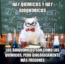 Ver más ideas sobre memes graciosos, memes divertidos, chiste meme. Dia Del Bioquimico Bioquimica Pinterest
