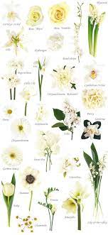 Normally, a bouquet will consist of the featured or main blooms and an assortment of filler flowers to accent the main blooms. Flower Names By Color Wedding Flower Types Flower Names Types Of White Flowers
