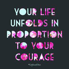 Fortune Favors The Bold Letyourselfshine Be Bold Quotes Stoic Quotes Typed Quotes