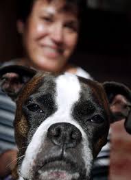 PRESS ARCHIVES: Photos from November 2004