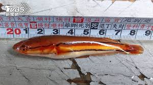 為你挑選多款 戶外及運動 多品牌款式，總有一款岩你心水，2021最新型號價格優惠想要邊款就邊款，部份更是香港代理行貨，歡迎到outlet express hk香港觀塘陳列室直接選購! 74cl99mpuk2osm