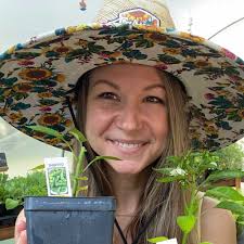 How to care for hydrangeas: 7 pro tips from the experts