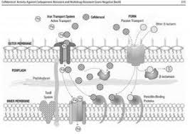 Image result for Cefiderocol