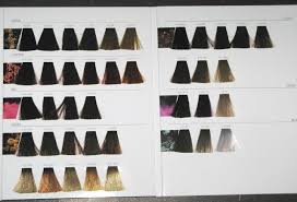 17 Systematic Loreal Inoa Supreme Color Chart